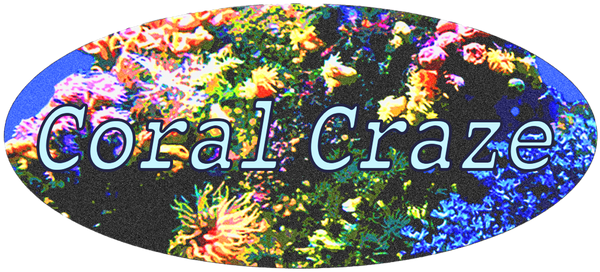 Coral Craze